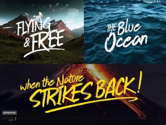 Top 5 Font For Nature Lover